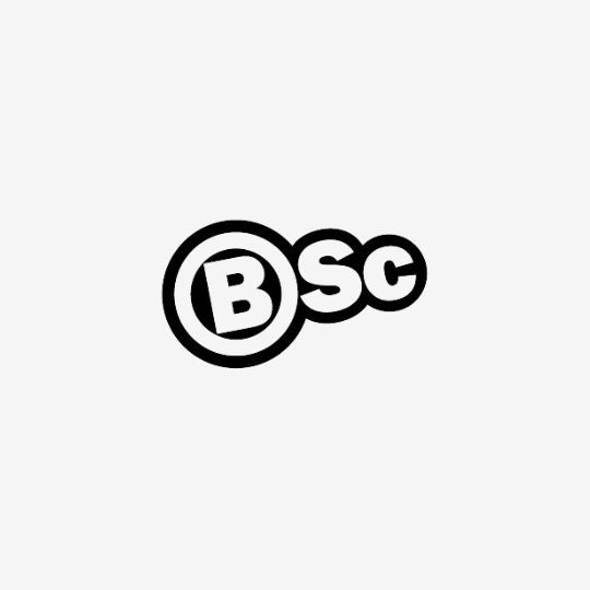 BSc Supplements